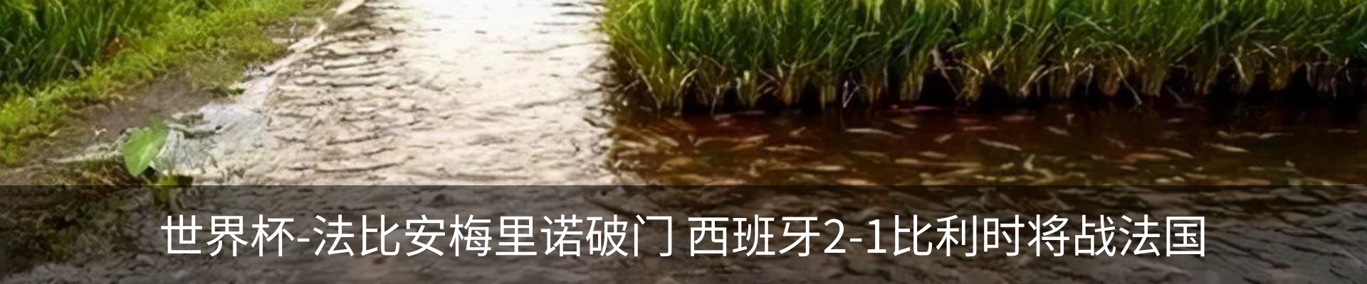 新闻中心