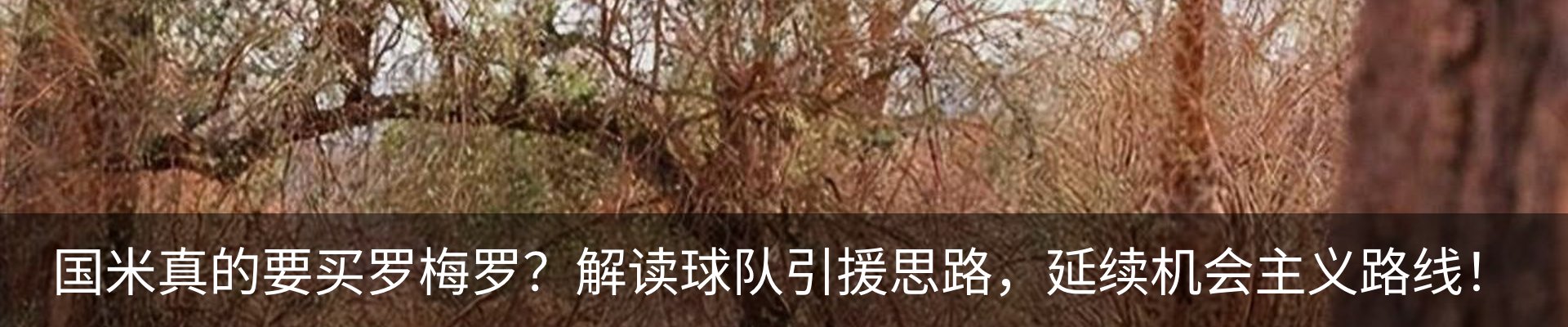 新闻中心
