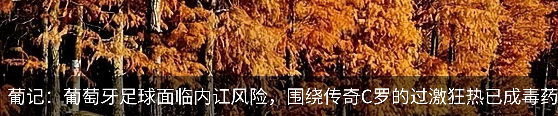 新闻中心
