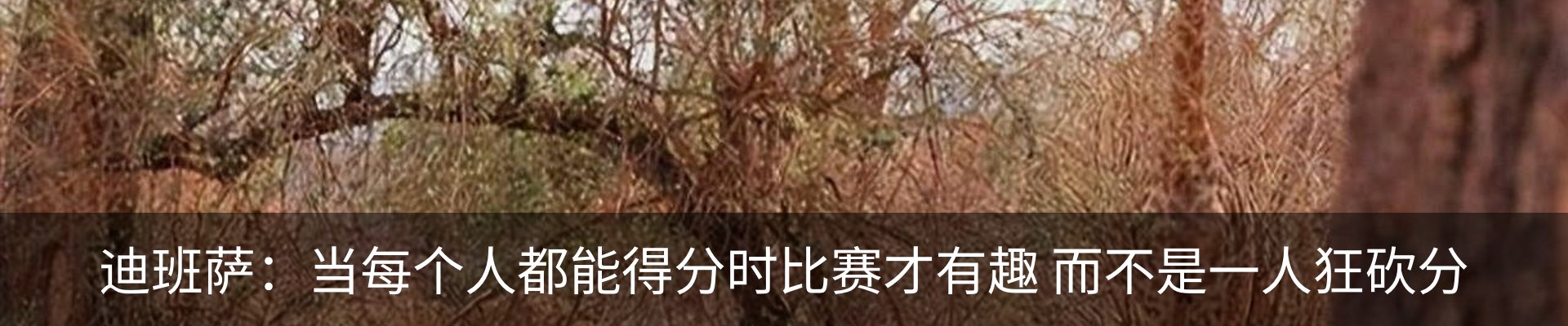 新闻中心