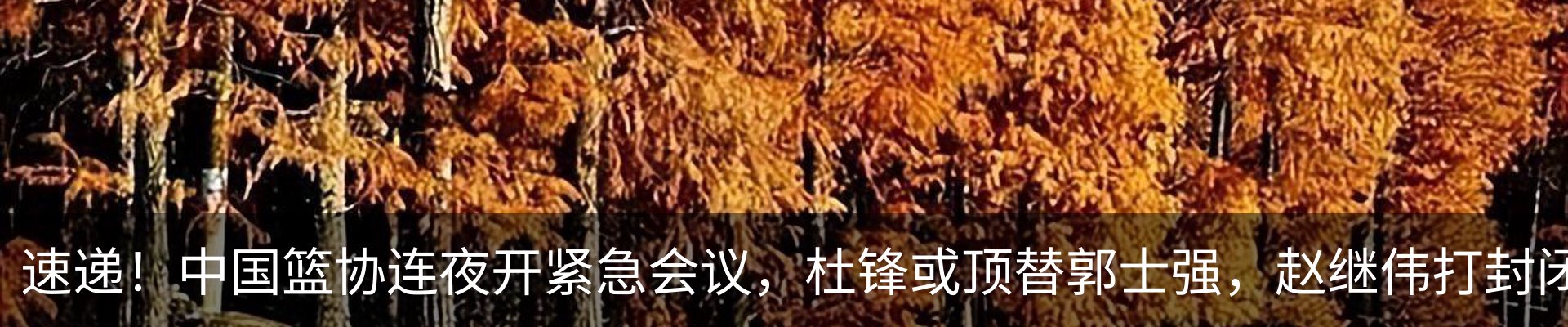 新闻中心